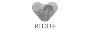 REDD+